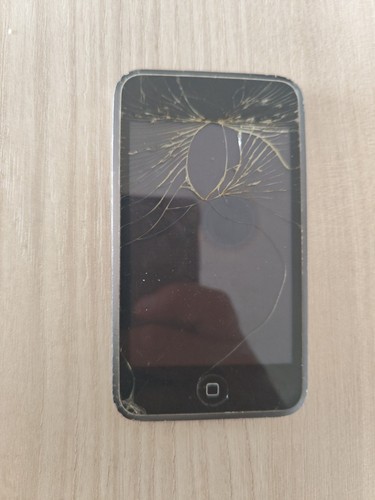 Apple ipod touch - apple, 1st
